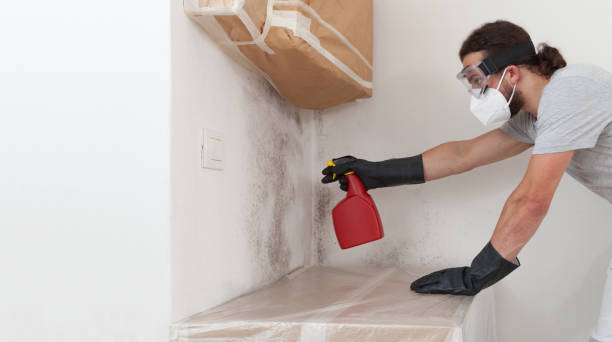 Professional Attic Mold Removal technician working in Nanty Glo, PA