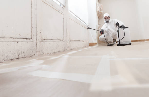 24/7 Emergency Attic Mold Removal experts in Nanty Glo, PA